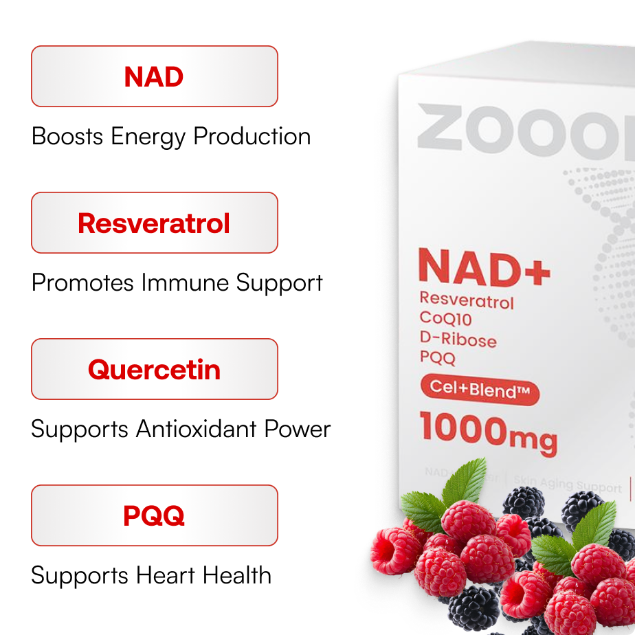 Reus Research Nad Drink Mix