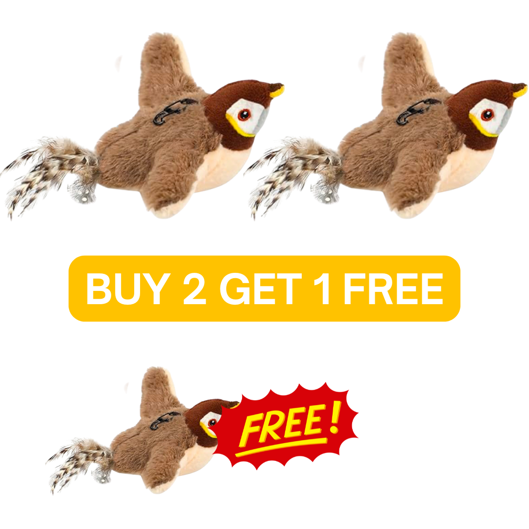 Aresify BirdChase