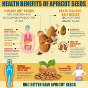 Apricot Seeds 8oz