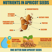 Apricot Seeds 8oz