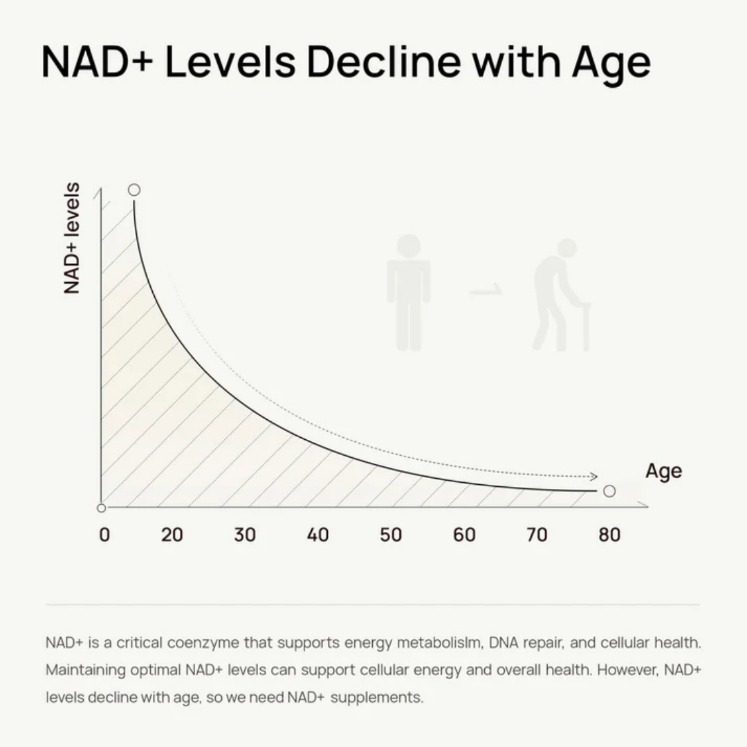 Aresify NAD+ Supplement for Women
