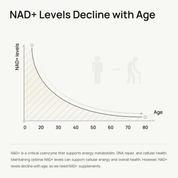 Aresify NAD+ Supplement for Women