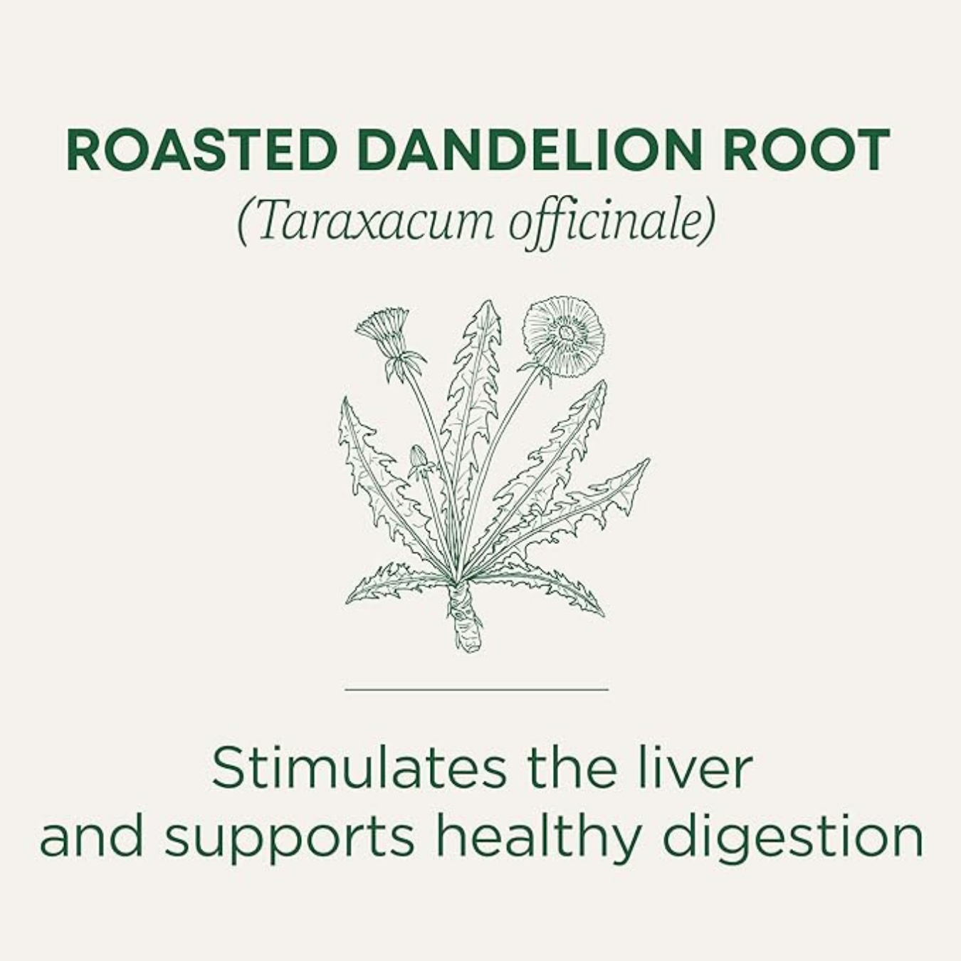 Aresify Roasted Dandelion Root Tea