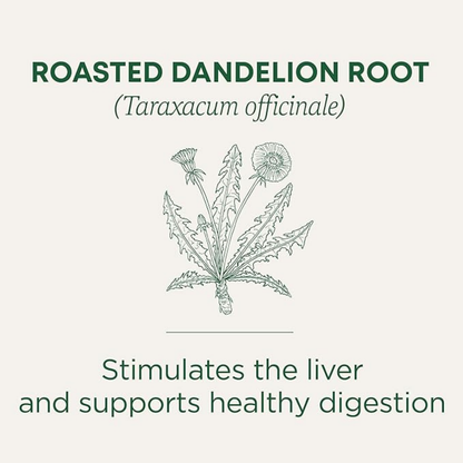 Aresify Roasted Dandelion Root Tea