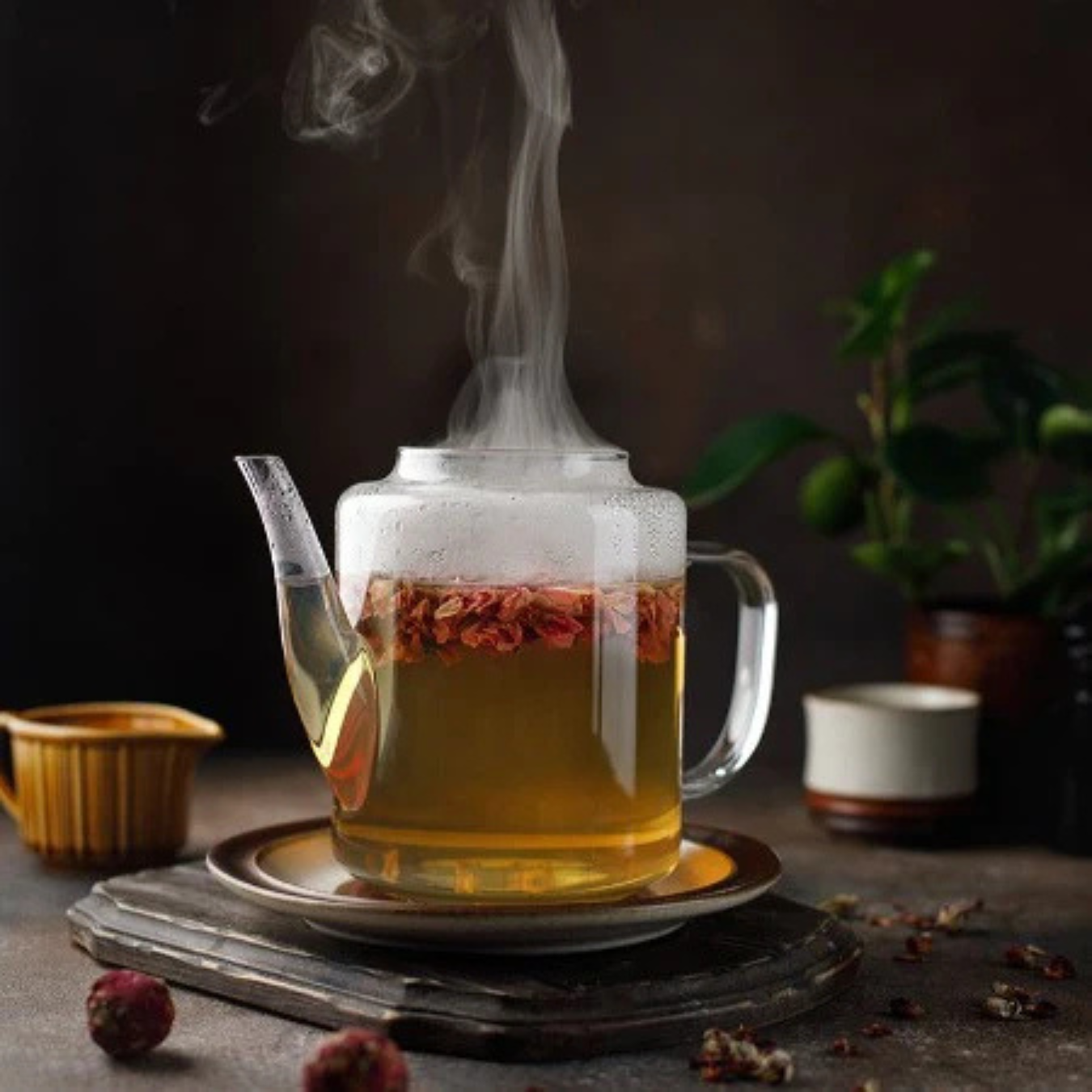 Flowering Tea Blooms