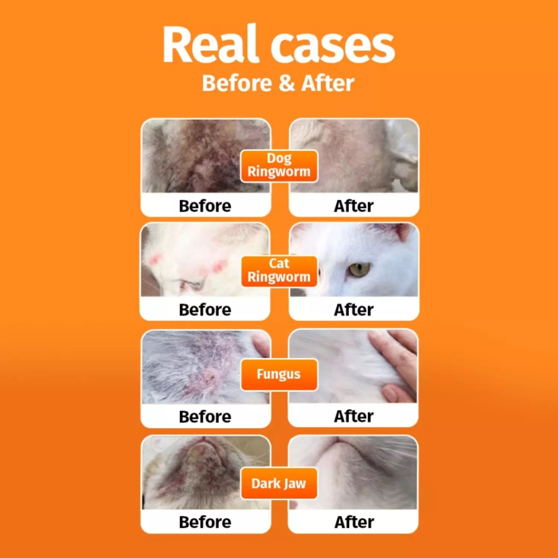 Aresify Pet Fungus Treatment