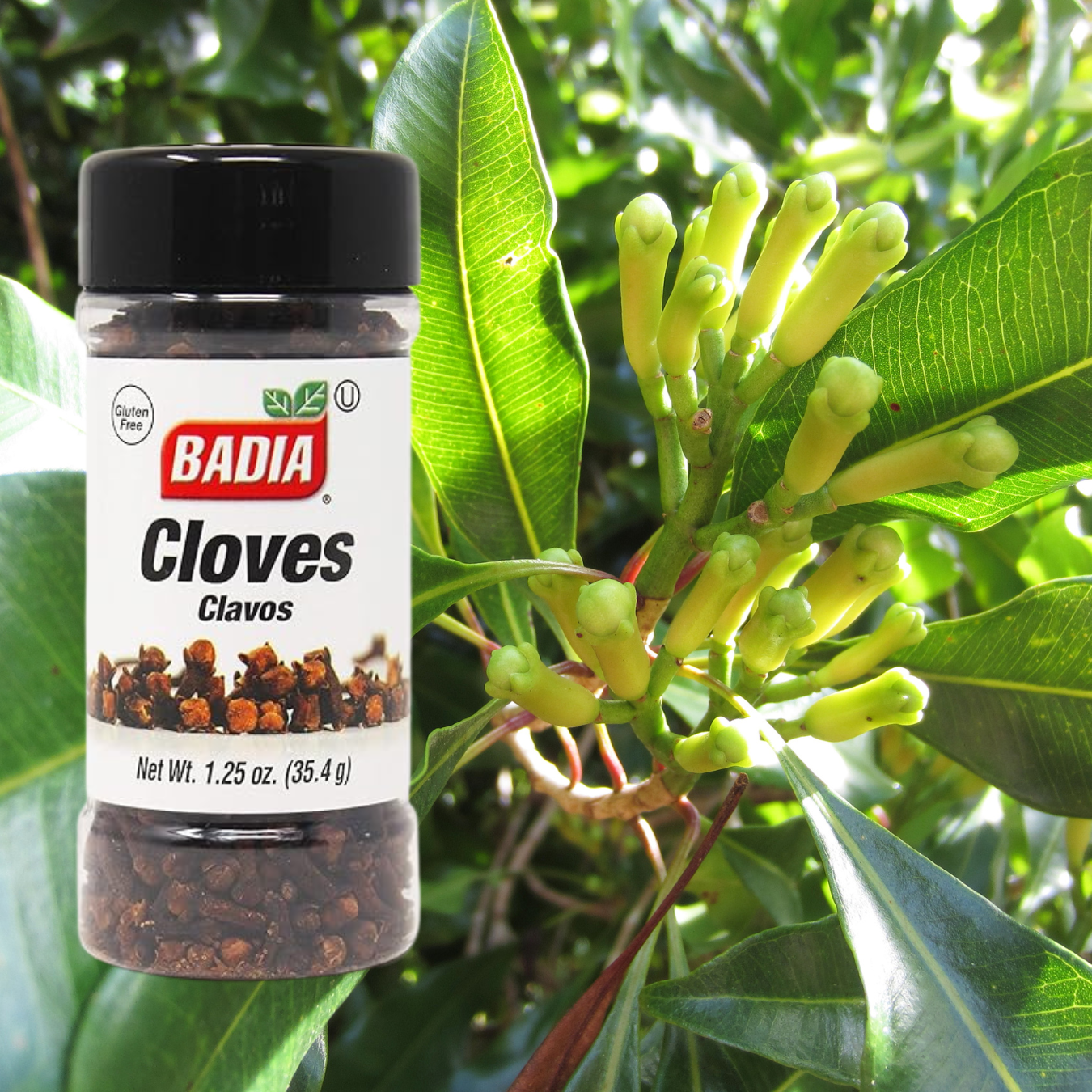 Badia Whole Cloves