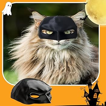 🔥🔥CAT BAT MASK