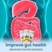 Aresify Candida Cleanse