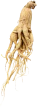 Alt image